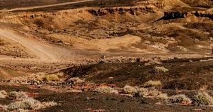 广岛三箭主帅：申花球员身体素质很强，我们要发挥技术优势