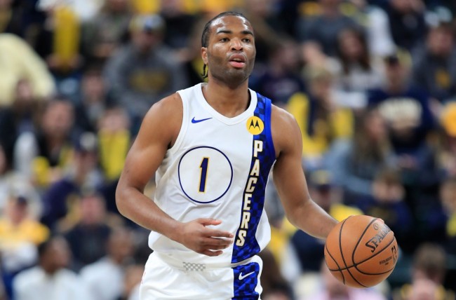 专家们则从 专家们则从