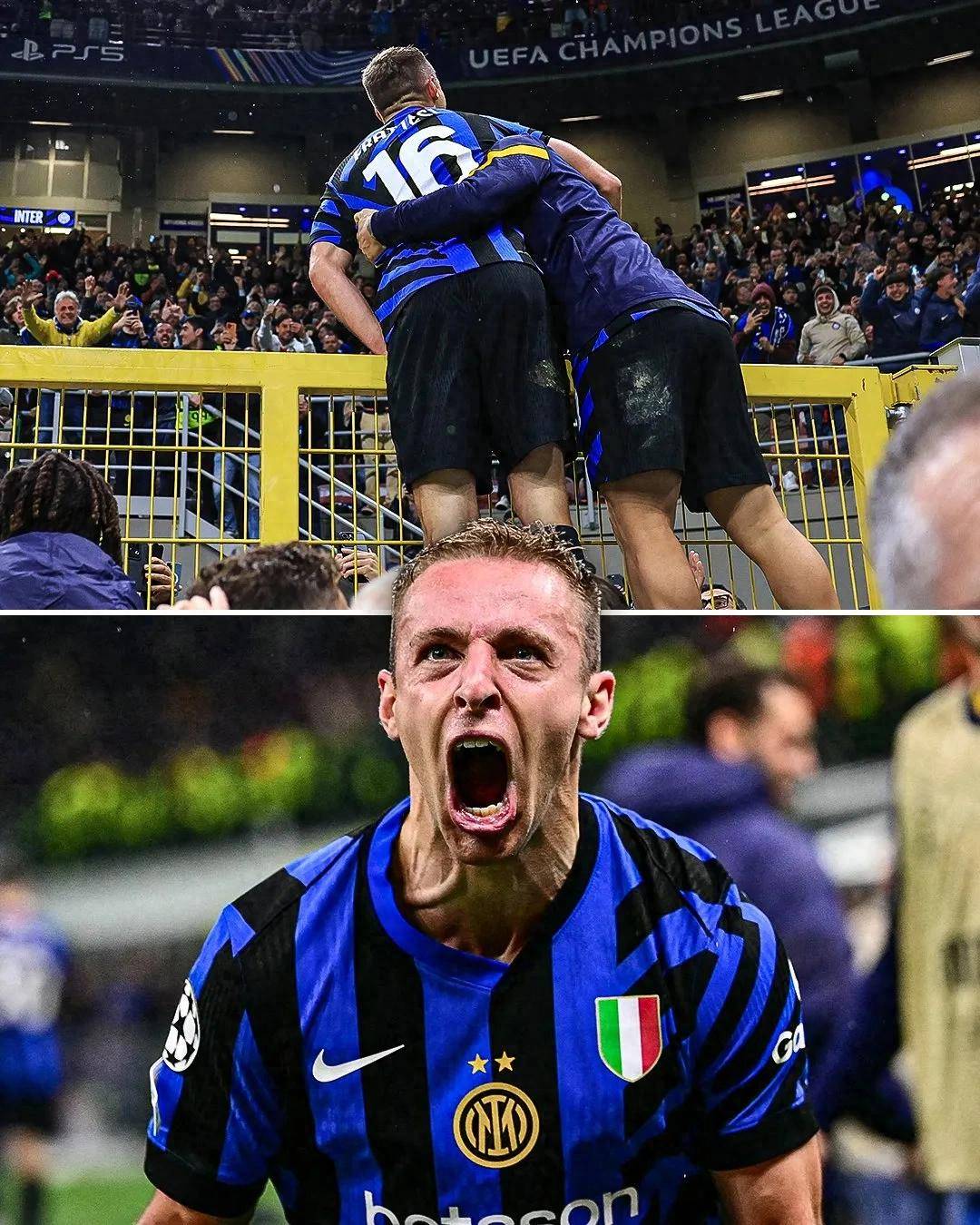 是组织的黏 是组织的黏